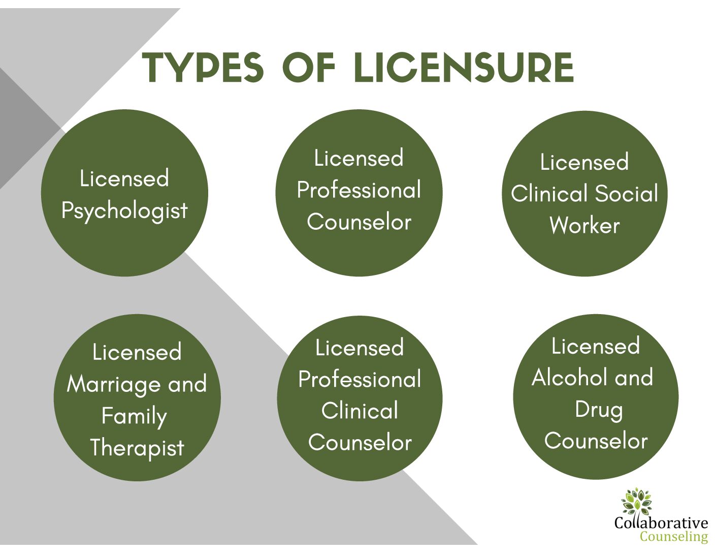Types of licensure