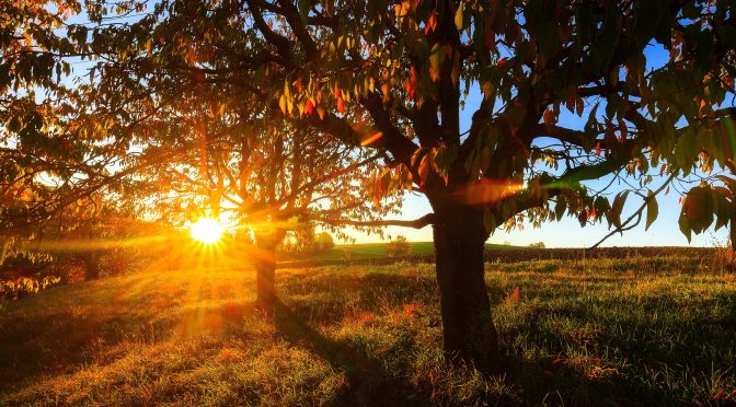 The Impact of Shorter Days on Mental Health (and What to Do About It)