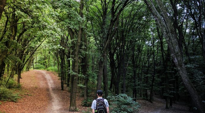 Life Transitions & Mental Health: Therapy During Big Changes